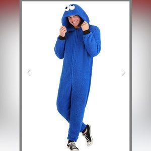 Adult Cookie Monster costume, size large
